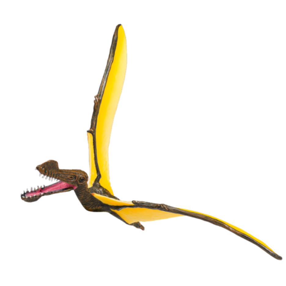 Tropeognathus-1-387375+copy.